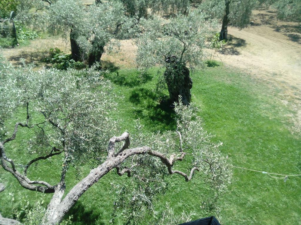 Villa Thomi Skala Rachoni  外观 照片
