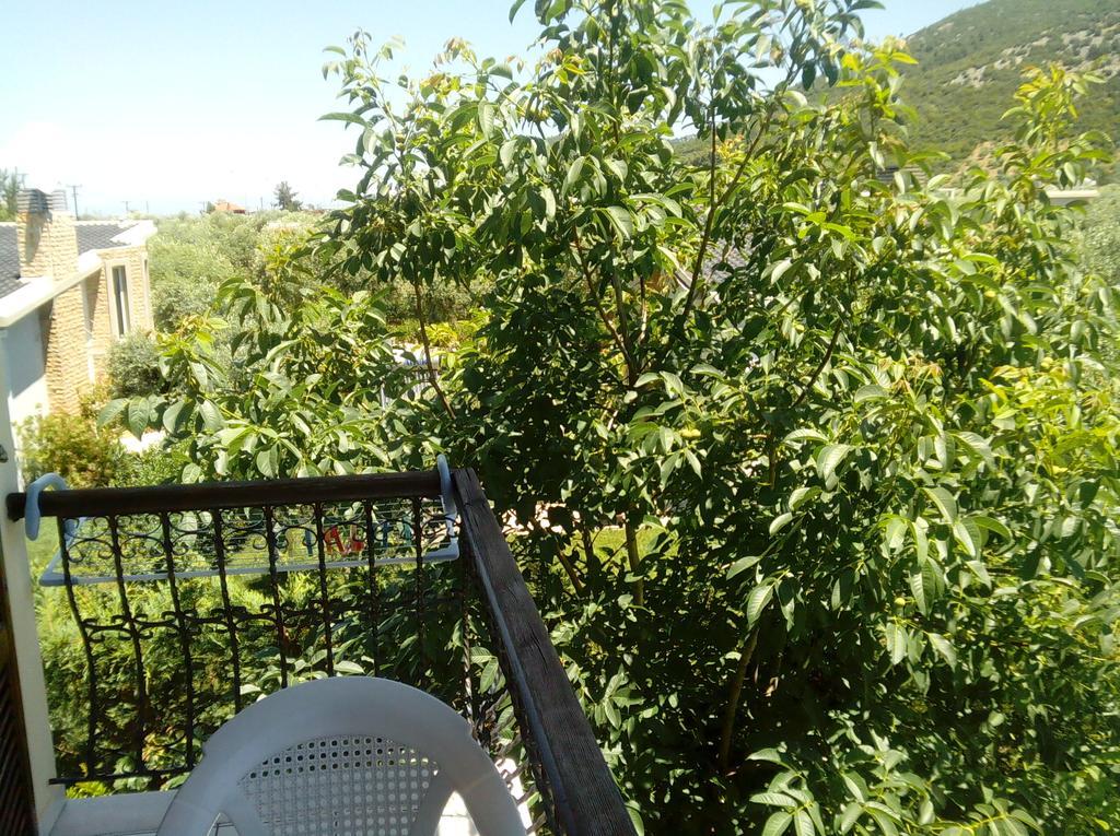 Villa Thomi Skala Rachoni  外观 照片