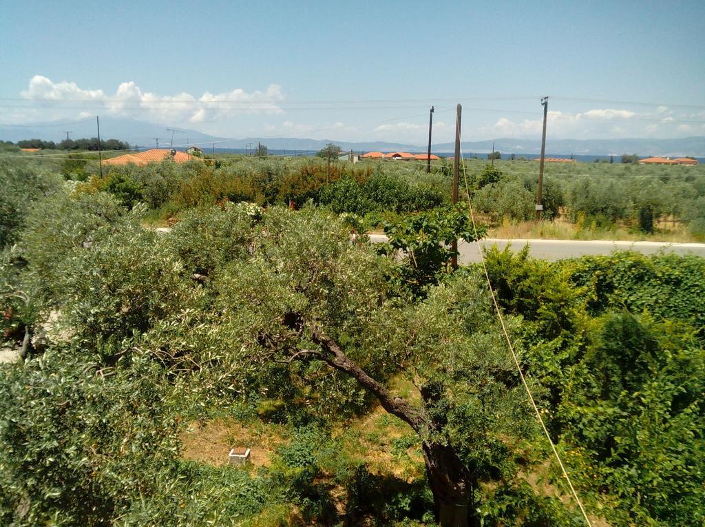 Villa Thomi Skala Rachoni  外观 照片